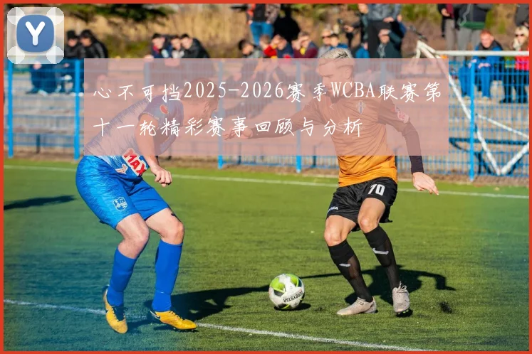 心不可挡2025-2026赛季WCBA联赛第十一轮精彩赛事回顾与分析