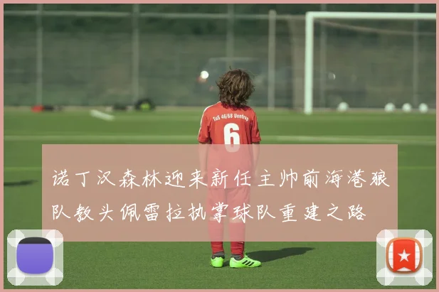 诺丁汉森林迎来新任主帅前海港狼队教头佩雷拉执掌球队重建之路