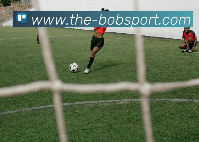 BOB体育发展历程